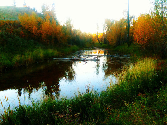 A Walk in Fish Creek Park